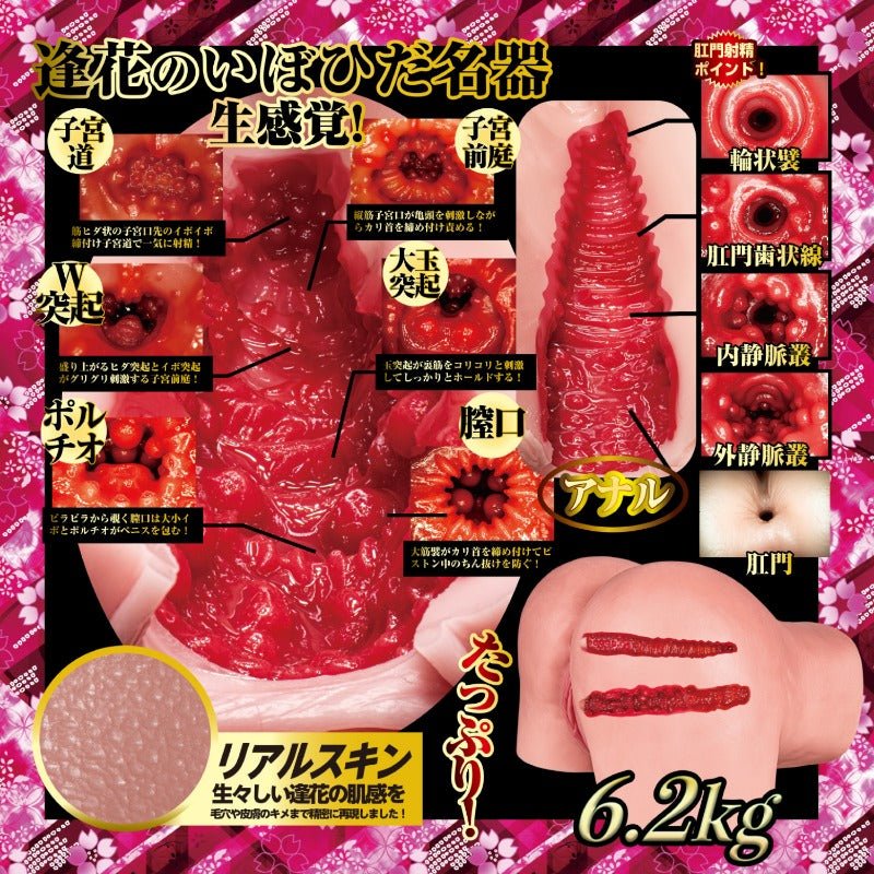 NPG Two Hole Extreme Pleasure Hip - Aika Yamagishi 6.2Kg - Onahole World