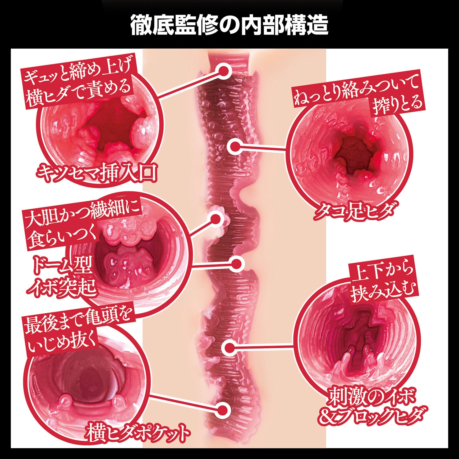 WILD ONE Nippon Meiki Aika Yamagishi