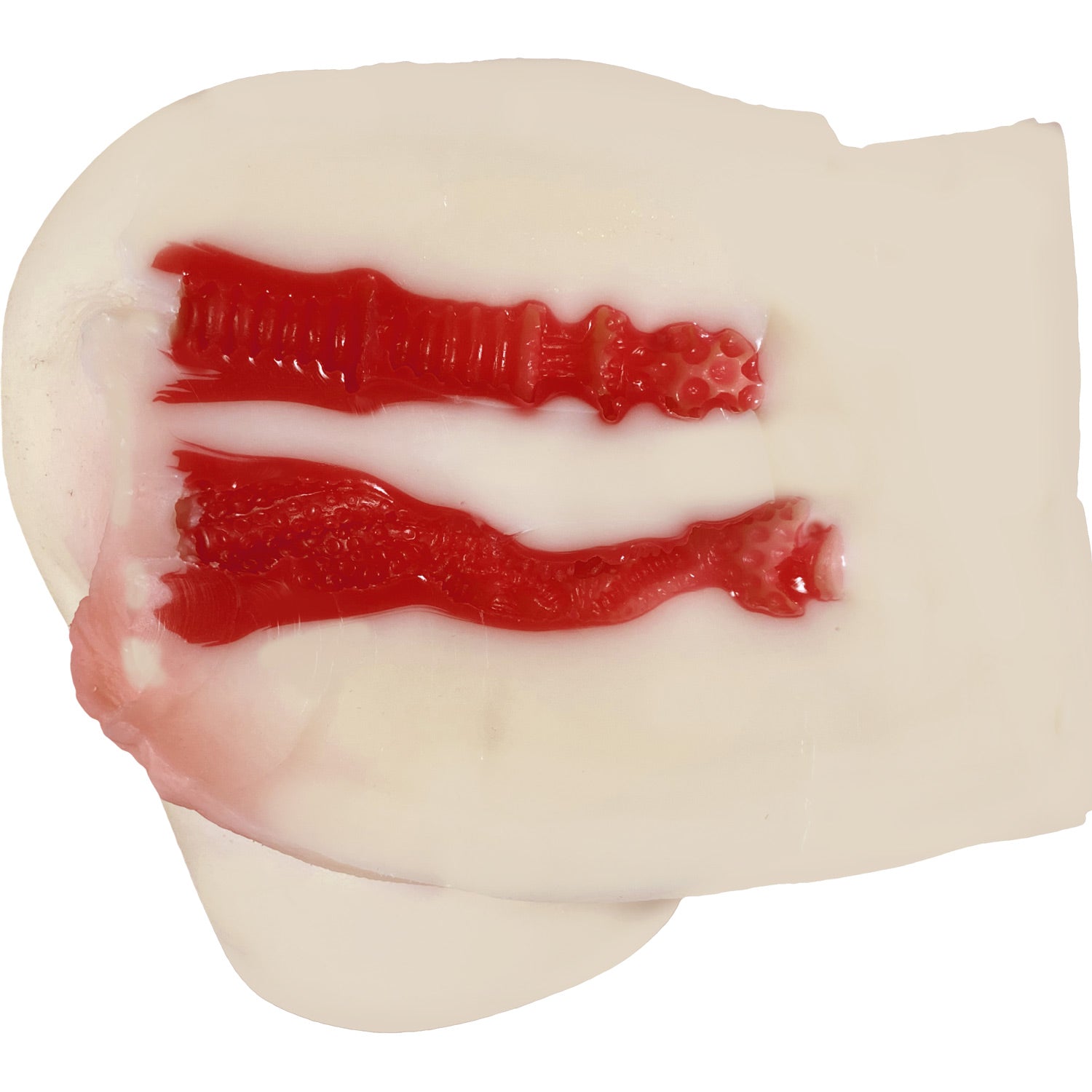 NPG Extreme Pleasure Hip Mini - Arina Hashimoto 2.8kg