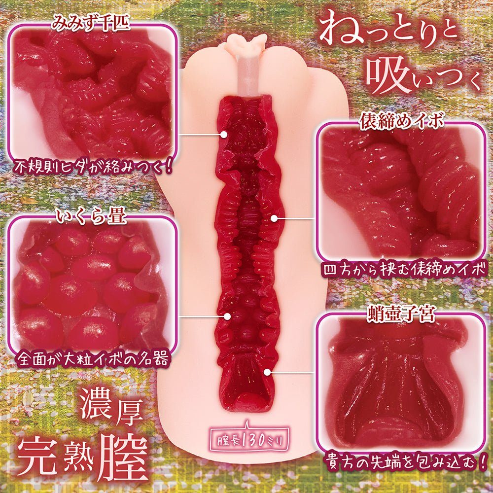 NOTOWA Puberty Series Vol.5 Estrus Crimson Dual - Layer 730g Masturbator - Onahole World