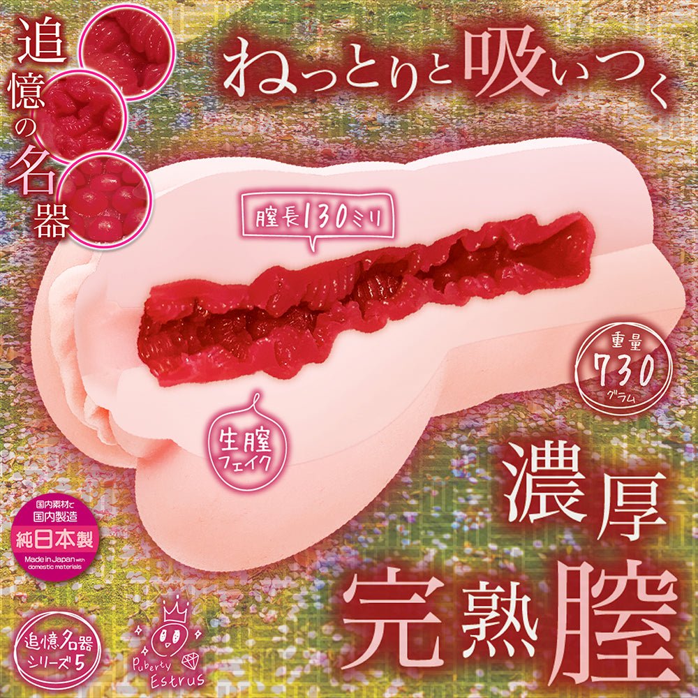 NOTOWA Puberty Series Vol.5 Estrus Crimson Dual - Layer 730g Masturbator - Onahole World