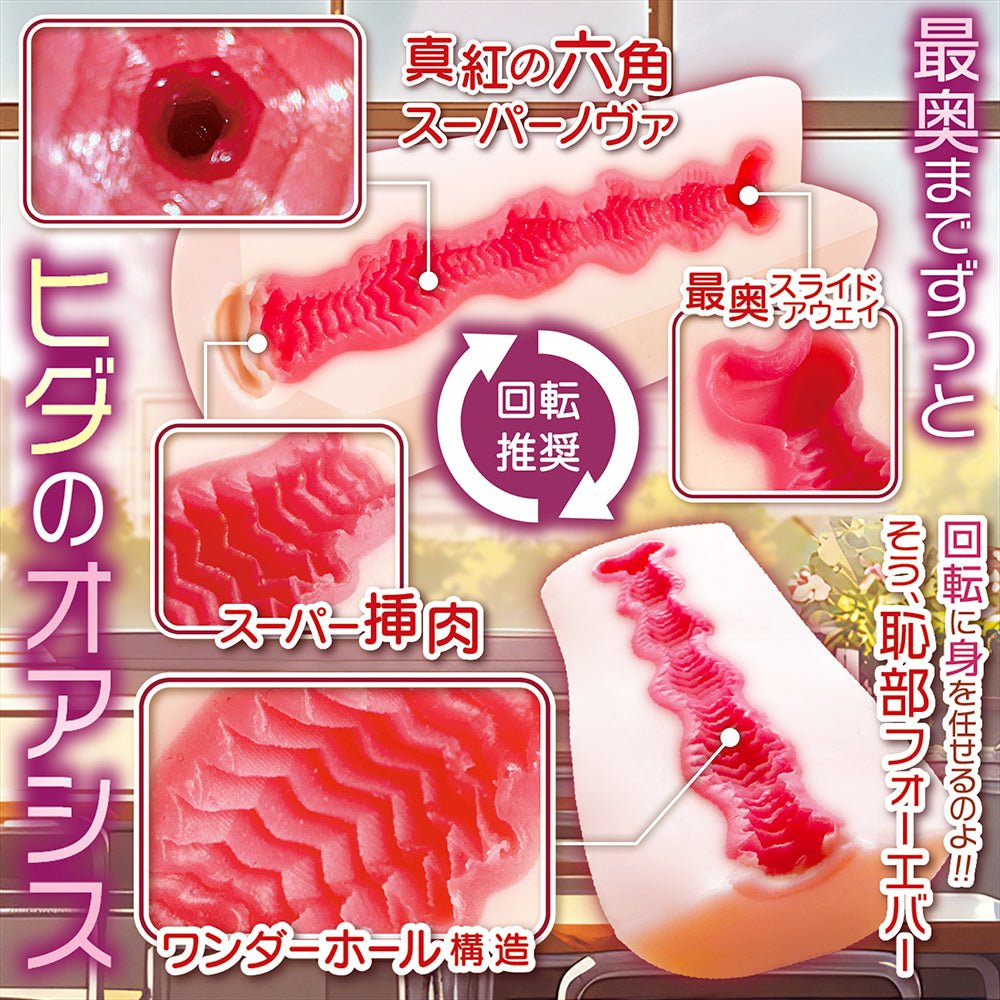 NOTOWA Roll With It Rotating - Playing Hexa - Rib Onahole - Onahole World