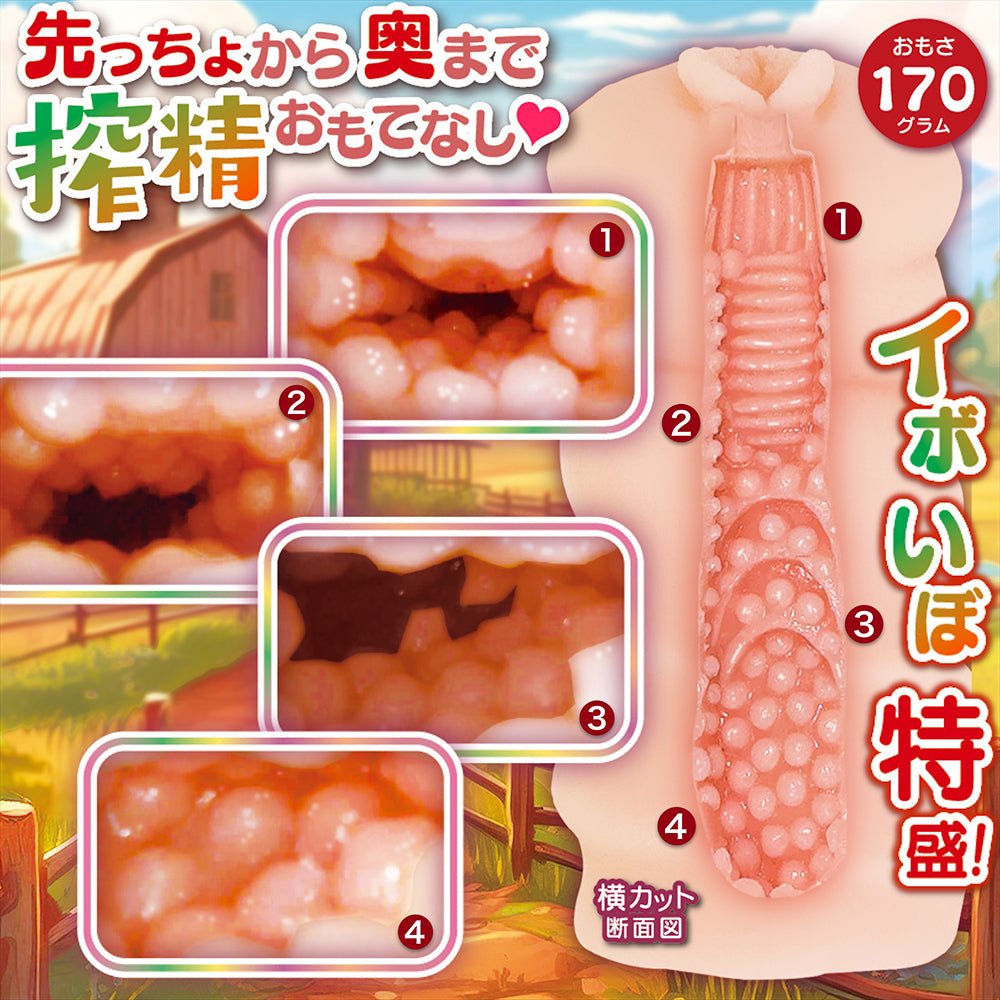 NOTOWA Squeeze Stallion Extra - Nub Compact Masturbator - Onahole World