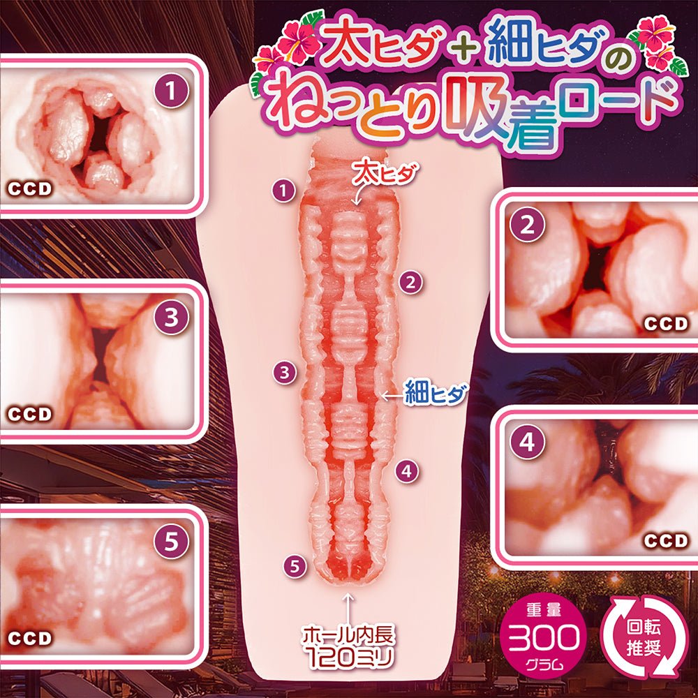 NOTOWA Sweet Rapture Rotating Stroker with 4 Raised Ridges - Onahole World