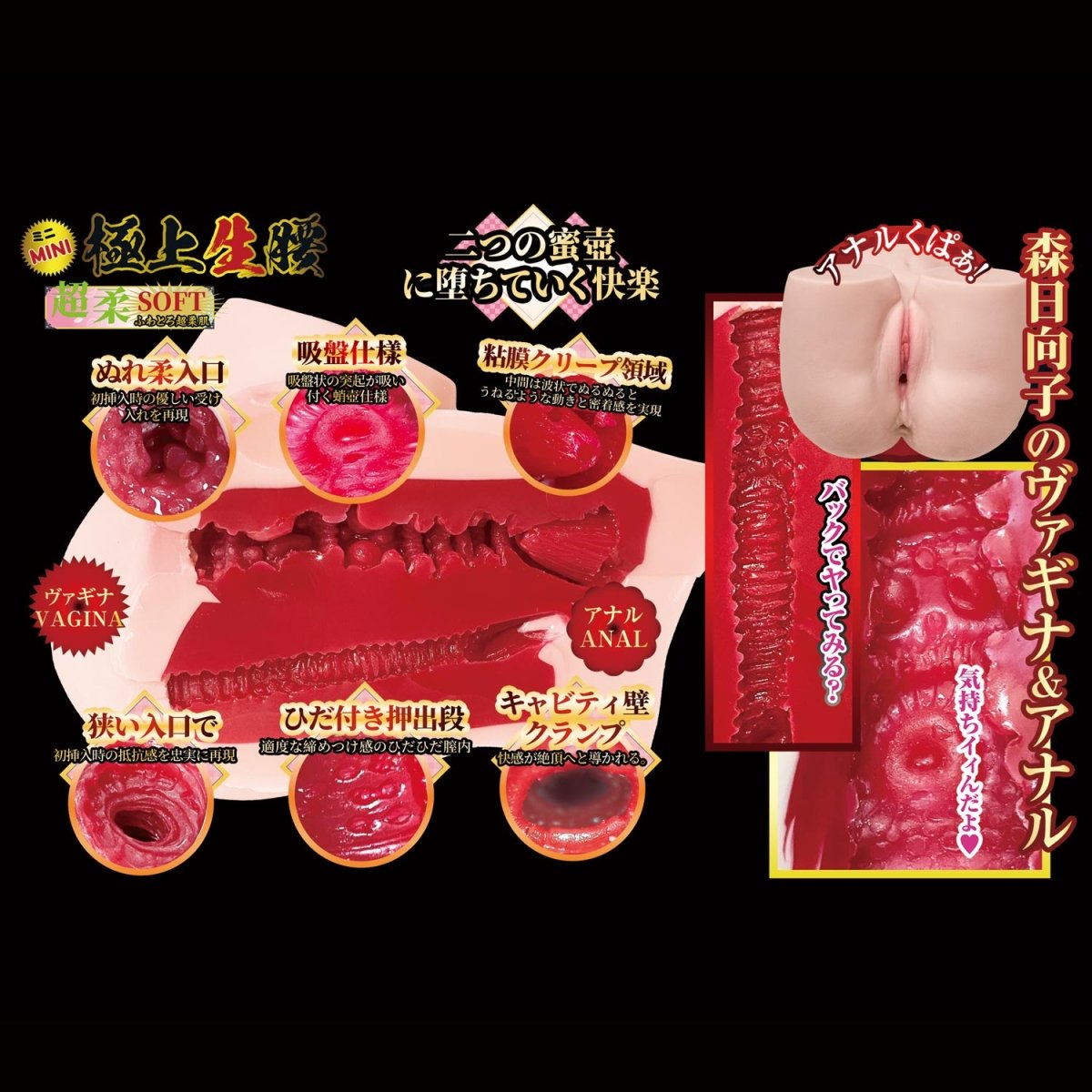NPG 3 - Layer Dual - Entry Extreme Pleasure Mini Hip - Hinako Mori - Onahole World