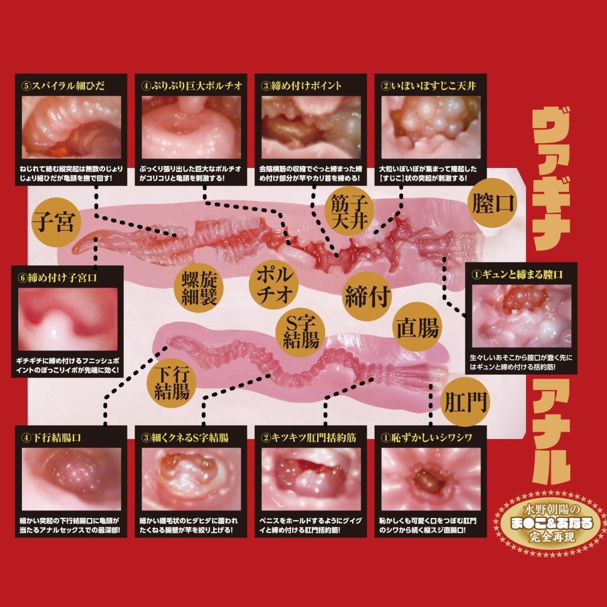 NPG Extreme Pleasure Hip Third Generation - Asahi Mizuno 6kg - Onahole World