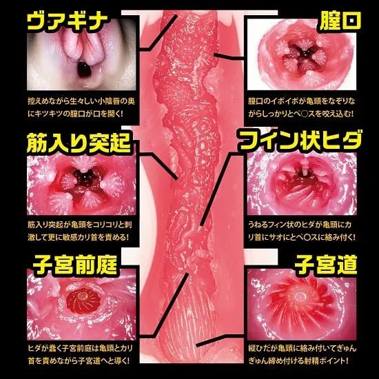NPG New Meiki no Syoumei No.3 Tsukasa Aoi, Male Onahole, Masturbator Cup for Men, Japanese AV Star Stroker - Onahole World