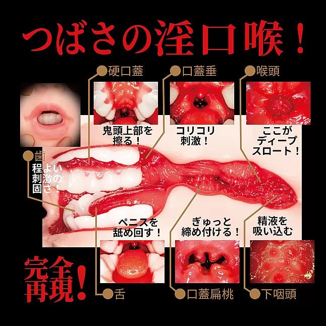 NPG Super Horny Mouth - Hachino Tsubasa, Japanese AV Actress Oral Masturbator For Men, Realistic Mouth Type Stroker, Blowjob Onahole From Replica Of Japanese AV Star Hachino Tsubasa - Onahole World