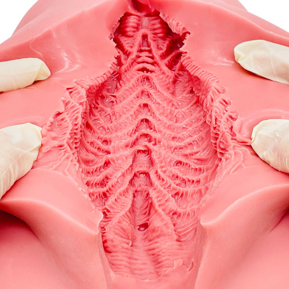 PEACH TOYS ZERO ANGEL GAL Dual - Layer Ultra - Thin Wide Base Floor Onahole - 2 Options Available - Onahole World