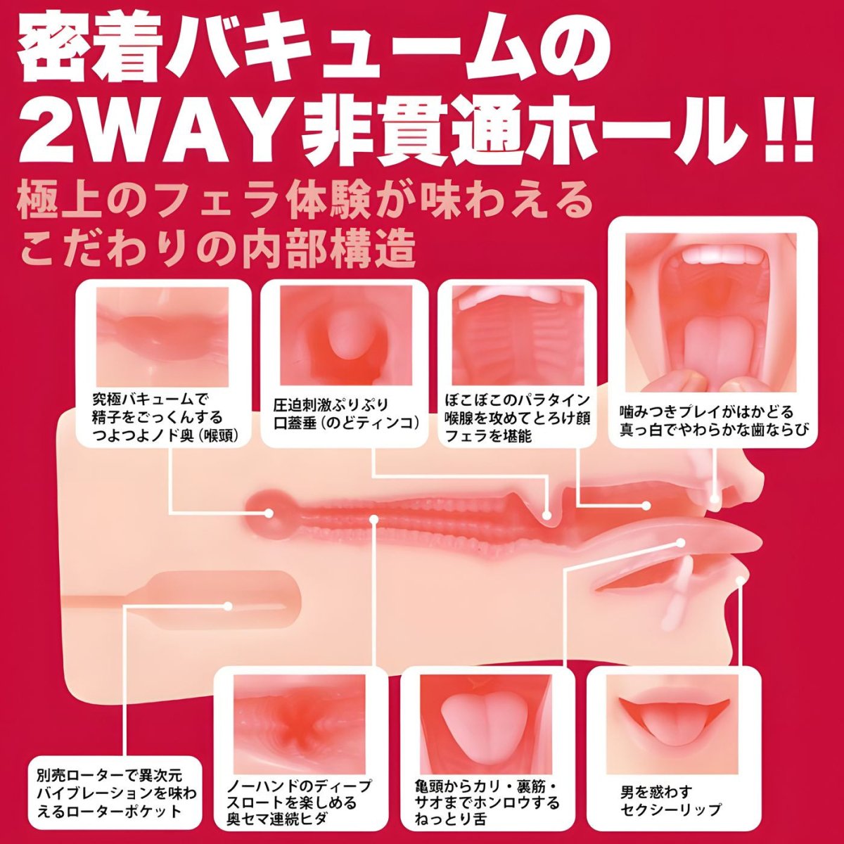 WILD ONE Kami Fera Kana Morisawa Oral Masturbator - Onahole World
