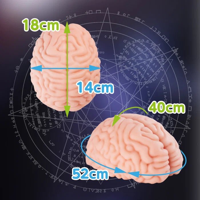 XTC Japan Brain Hacker DX - Onahole World