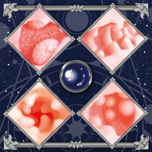 Toysheart Astrologer Atelier Onahole - Mystical journey masturbator